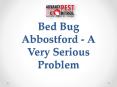 Bed Bug Abbostford - A Very Serious Problem PowerPoint PPT Presentation
