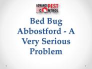 Bed Bug Abbostford - A Very Serious Problem