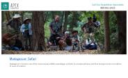 Madagascar Safari Tour