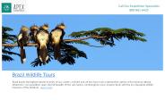Brazil Wildlife Tours