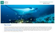 Raja Ampat Diving Tour