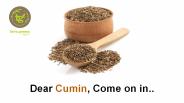Health Benefits of Organic Cumin