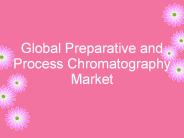 Global Preparative and Process Chromatography Market