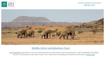 Africa Safari Tours