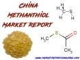 China Methanthiol Market PowerPoint PPT Presentation