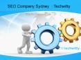 Seo company sydney techwitty PowerPoint PPT Presentation