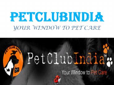 PetClubIndia Online Pet Shop (1)