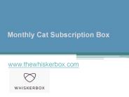 Monthly Cat Subscription Box - www.thewhiskerbox.com