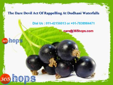 The Dare Devil Act Of Rappelling At Dodhani Waterfalls