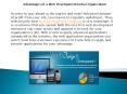 Web Development India (2) PowerPoint PPT Presentation