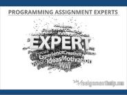 Programming Assignment Experts online