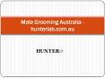 Male Grooming Australia - hunterlab.com.au PowerPoint PPT Presentation