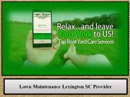 Lawn Maintenance Lexington SC Provider