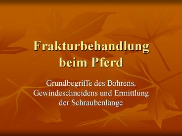 Frakturbehandlung beim Pferd