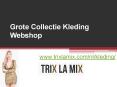 Grote Collectie Kleding Webshop - www.trixlamix.com PowerPoint PPT Presentation