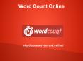 Word Count Guidance  for Social Media (1) PowerPoint PPT Presentation