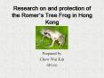 Research on and protection of the Romer PowerPoint PPT Presentation