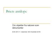 Briets antilope