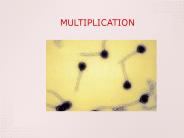 Microbiology 6/e