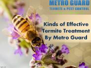 Kinds of Effective Termite Treatment By Metro Guard