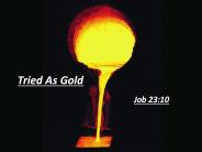 Tried As Gold