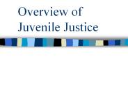 Overview of Juvenile Justice