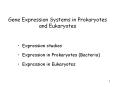 Gene%20Expression%20Systems%20in%20Prokaryotes%20and%20Eukaryotes PowerPoint PPT Presentation