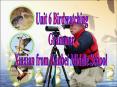 Unit 6 Birdwatching PowerPoint PPT Presentation