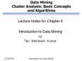 Data Mining Cluster Analysis: Basic Concepts and Algorithms PowerPoint PPT Presentation