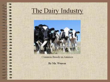 The Dairy Industry