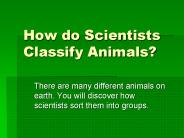 How do Scientists Classify Animals?