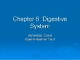 Chapter 6: Digestive System PowerPoint PPT Presentation