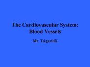 The Cardiovascular System: Blood Vessels