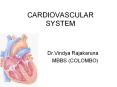 CARDIOVASCULAR%20SYSTEM PowerPoint PPT Presentation