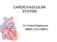 CARDIOVASCULAR%20SYSTEM