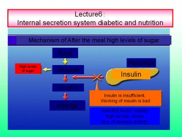 Lecture6: Internal secretion system diabetic and nutrition