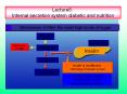 Lecture6: Internal secretion system diabetic and nutrition PowerPoint PPT Presentation