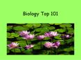 Biology Top 101 PowerPoint PPT Presentation