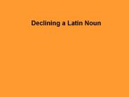 Declining a Latin Noun