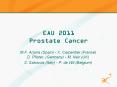 EAU 2011 Prostate Cancer PowerPoint PPT Presentation