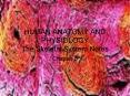 HUMAN ANATOMY AND PHYSIOLOGY The Skeletal System Notes PowerPoint PPT Presentation