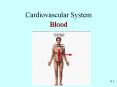 Cardiovascular System PowerPoint PPT Presentation