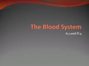 The%20Blood%20System