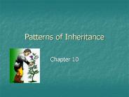 Patterns of Inheritance