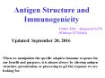 Antigen Structure and Immunogenicity PowerPoint PPT Presentation