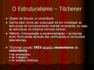 O Estruturalismo 
