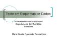 Teste em Esquemas de Dados PowerPoint PPT Presentation