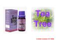 Tea Tree PowerPoint PPT Presentation