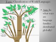 Topic: Classification of World Languages
