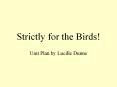 Strictly for the Birds! PowerPoint PPT Presentation